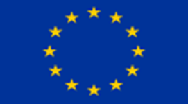 UNION EUROPÉENNE 